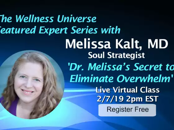 Melissa 博士消除压力的秘诀 w WU 专家 Melissa Kalt 博士