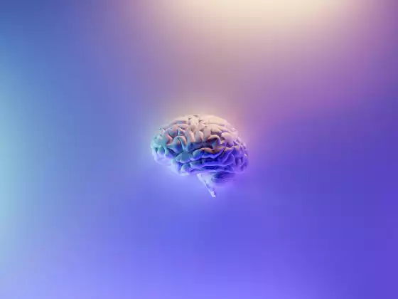 瑜伽促進大腦健康~ 20 分鐘讓生活更美好