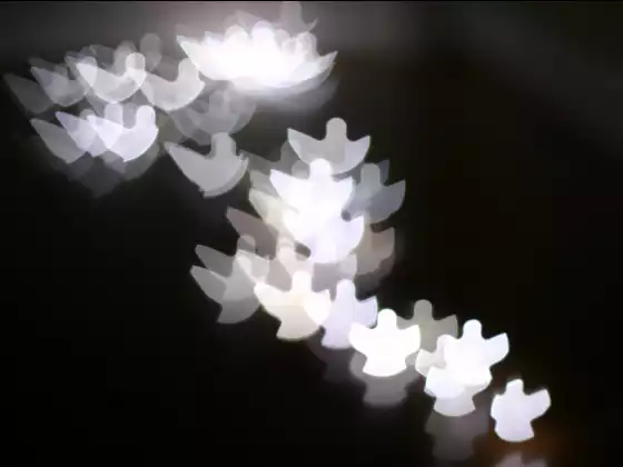 天使套裝