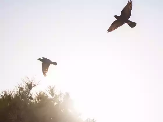 Aufbau einer Beziehung zu geliebten Menschen in der Spirit-Serie