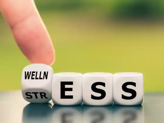 De-Stress and Succeed