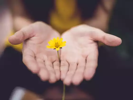 Hujung Minggu Mastership Reiki