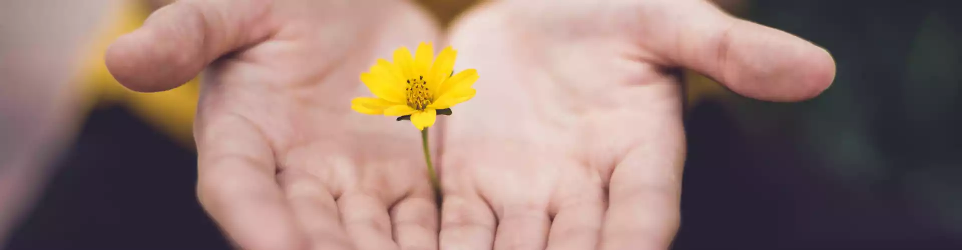 Reiki Ustalığı Hafta Sonu - Online Class by Jamie Butler