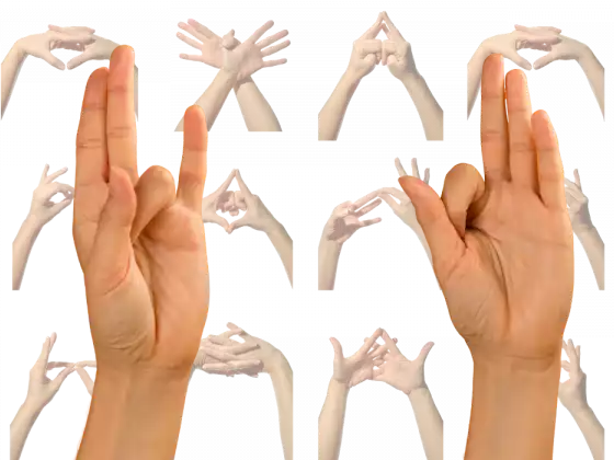Mudra mistici: una serie mensile di seminari sulla fusione di Reiki/Yoga