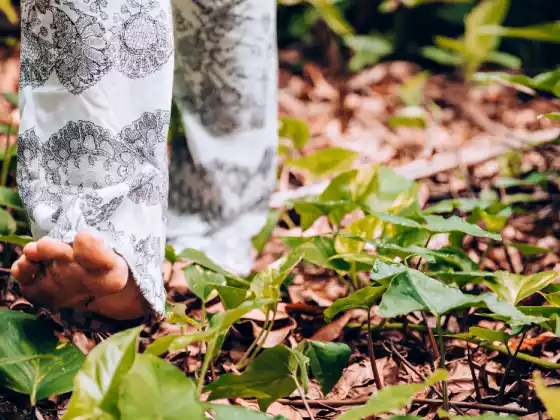 NatureSoul Odyssey: مسيرة علاجية بيئية افتراضية