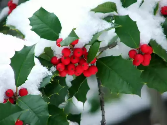 Winter Solstice 2023 - Connecting to Traditions in a New Way