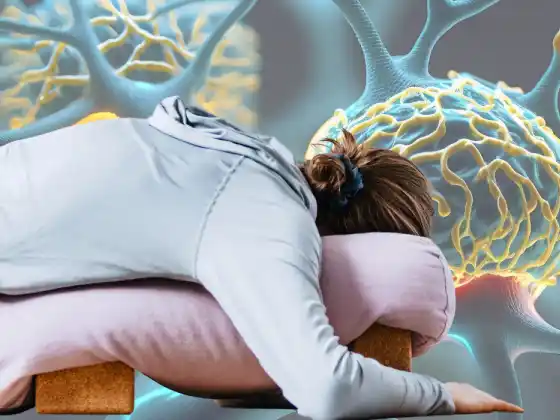 Movimento consapevole: esplorare e comprendere la neuroplasticità nello Yin Yoga