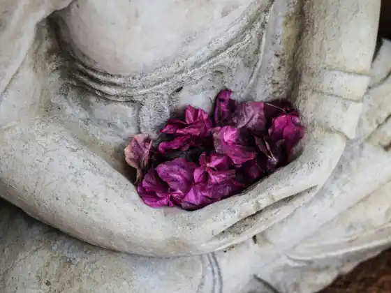 Guarigione energetica per risvegliare la guida divina