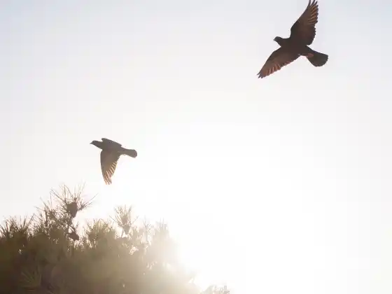Building a Relationship with Loved Ones in Spirit Series-Part 2