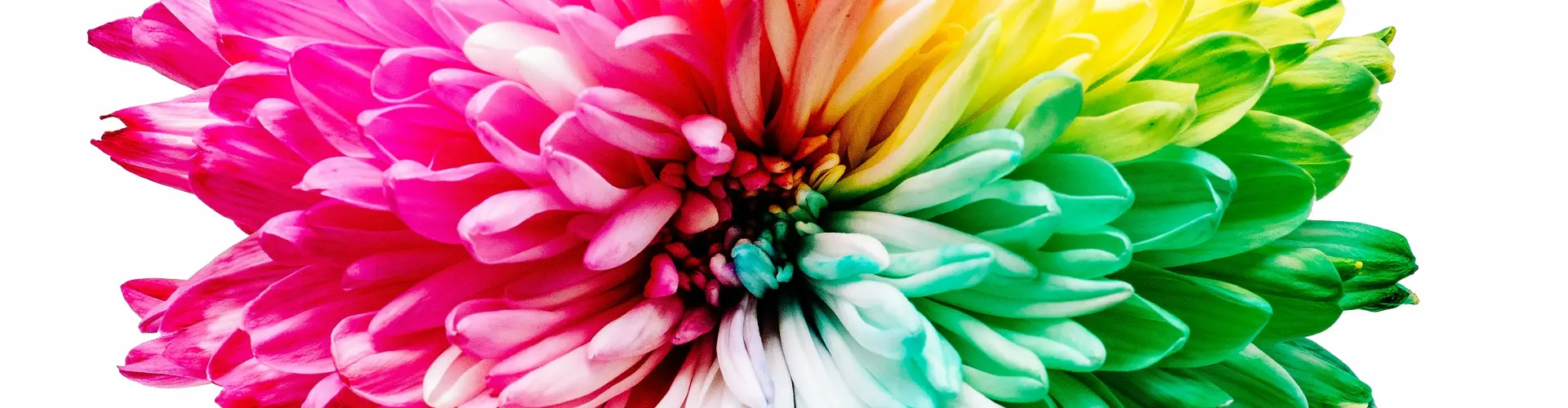 Energy Healing para sa ating Chakras - Online Class by Ismene Manakas