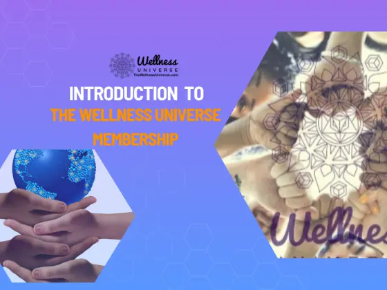 Введение в членство в Wellness Universe — по VIP-приглашению