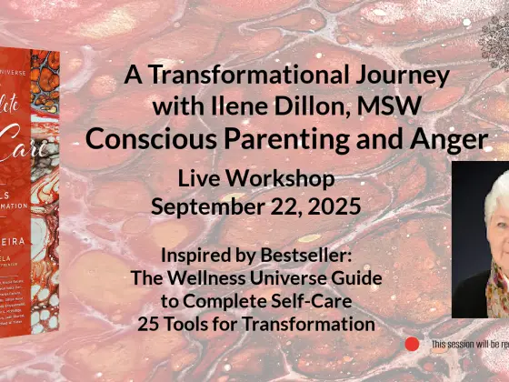 A Transformational Journey With Ilene Dillon, MSW