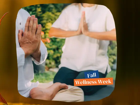 La véritable histoire du Reiki (Améliorez votre pratique)